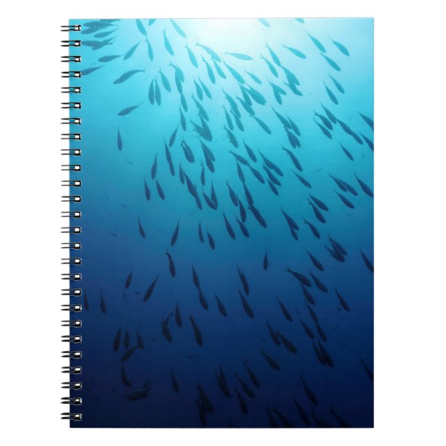Cuaderno Bajío de pescados (Frente)