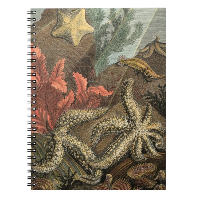 Cuaderno Bajo el mar (Frente)