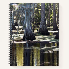 Cuaderno Bald Cypress Trees