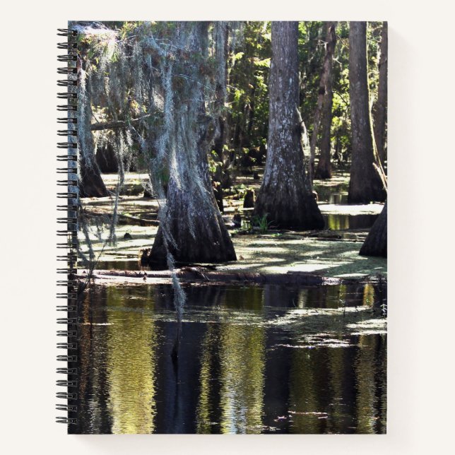 Cuaderno Bald Cypress Trees (Anverso)