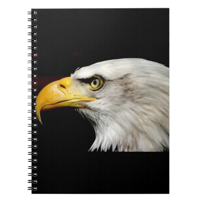 Cuaderno Bald Eagle (Frente)