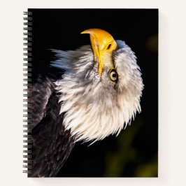 Cuaderno Bald Eagle