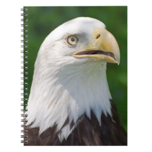 Cuaderno Bald Eagle