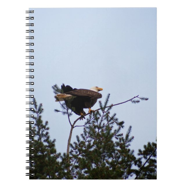 Cuaderno Bald Eagle (Frente)