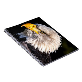 Cuaderno Bald Eagle