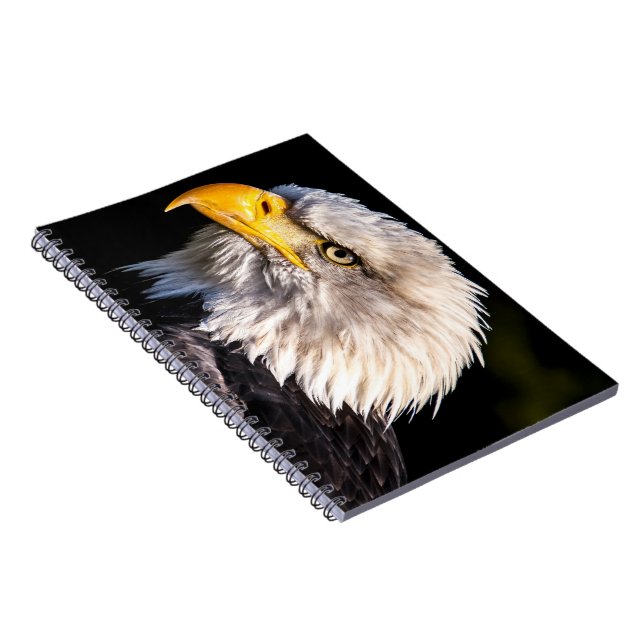 Cuaderno Bald Eagle (Lado Derecho)