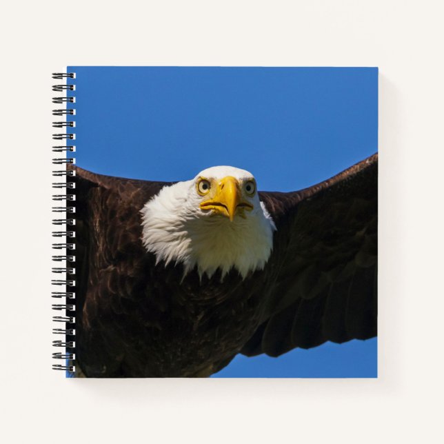 Cuaderno Bald Eagle Flyby Up Close (Anverso)