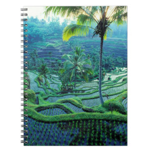 Cuaderno Bali Descripción general de las terrazas de arro