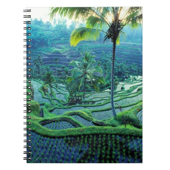 Cuaderno Bali | Visión General De Las Terrazas De Arroz (Frente)