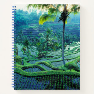 Cuaderno Bali   Visión General De Las Terrazas De Arroz