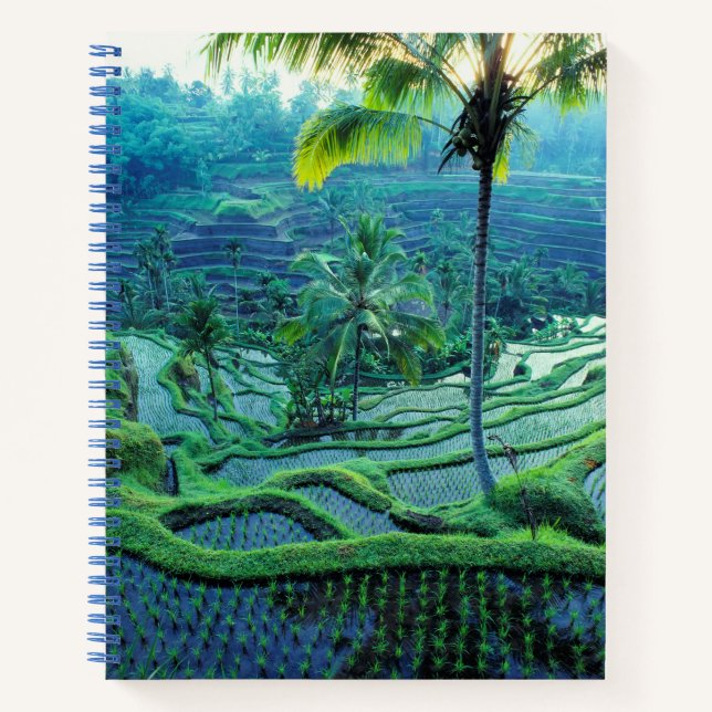 Cuaderno Bali | Visión General De Las Terrazas De Arroz (Anverso)