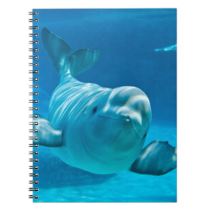 Cuaderno Ballena de la beluga