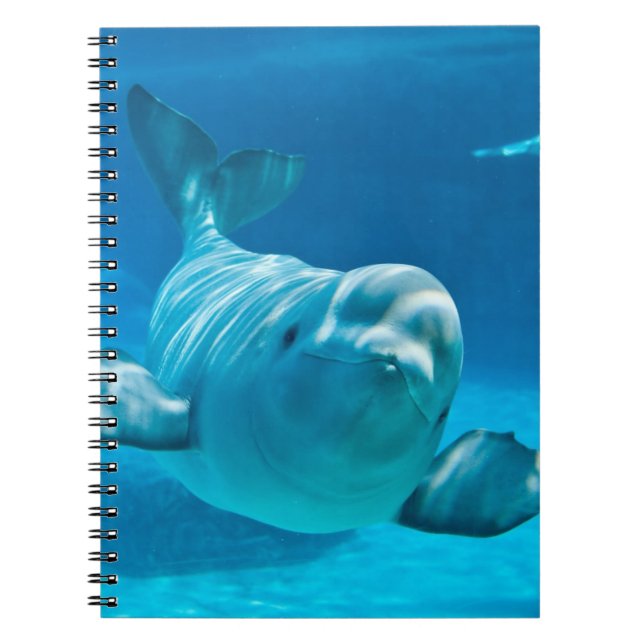 Cuaderno Ballena de la beluga (Frente)