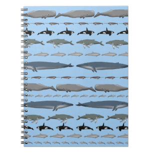 Cuaderno Ballenas