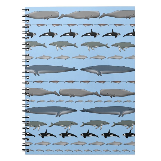 Cuaderno Ballenas (Frente)