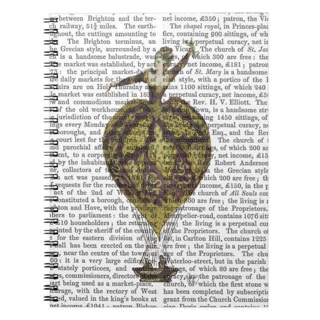 Cuaderno Balón de aire caliente Mujer 1 (Frente)