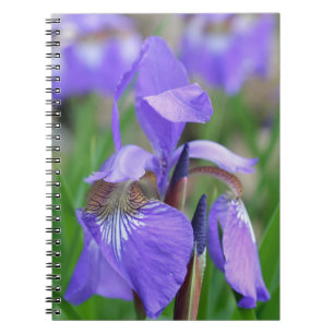Cuaderno Bandera Azul Púrpura Naturaleza de la Flor Iris