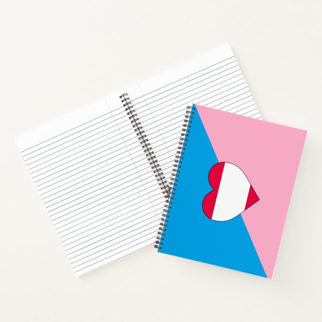 Cuaderno Bandera de Orgullo de Age Play (Interior)