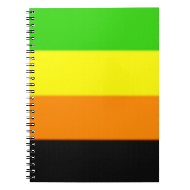 Cuaderno Bandera del Orgullo Aromántico de las Malvinas (Frente)