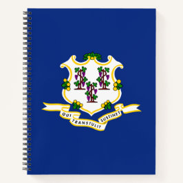Cuaderno Bandera estatal de Connecticut