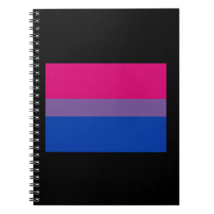 CUADERNO BANDERA OFICIAL DE ORGULLO BISEXUAL