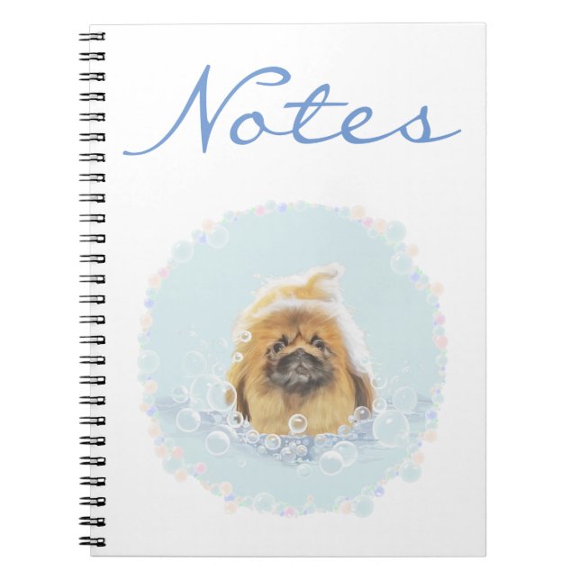 Cuaderno Baño de Burbujas (Frente)
