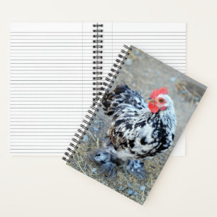 Cuaderno Bantam Cochin moteado Bicken Journal Notebook