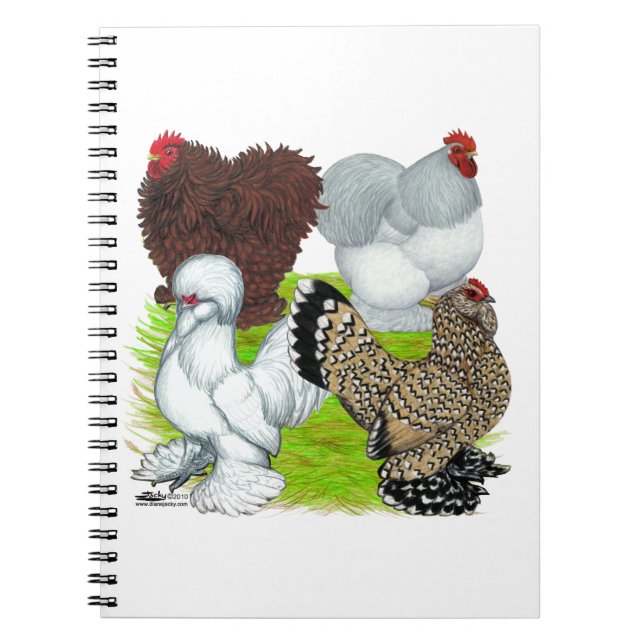 Cuaderno Bantams Feather Legged (Frente)