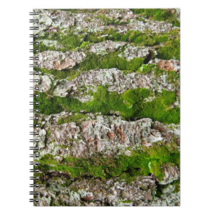 Cuaderno Baraja De Árbol De Pino Con Moss
