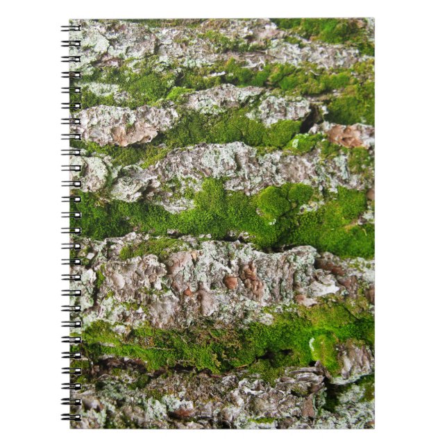 Cuaderno Baraja De Árbol De Pino Con Moss (Frente)