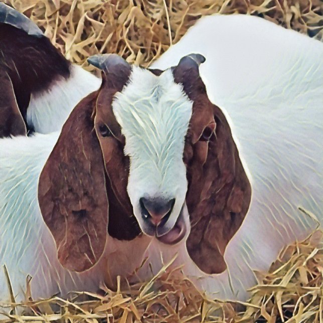 CUADERNO BARBA (An art design of a cute Boer Goat. The breed originating from South Africa.)