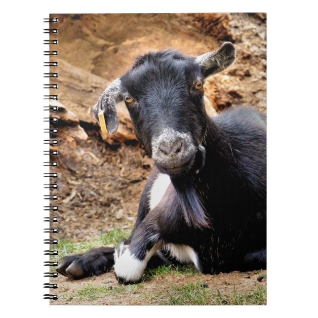 CUADERNO BARBA PEQUEÑO (Frente)
