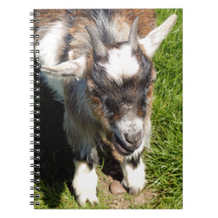 CUADERNO BARBA PEQUEÑO
