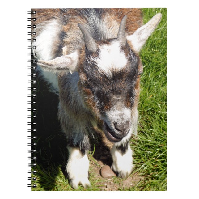 CUADERNO BARBA PEQUEÑO (Frente)