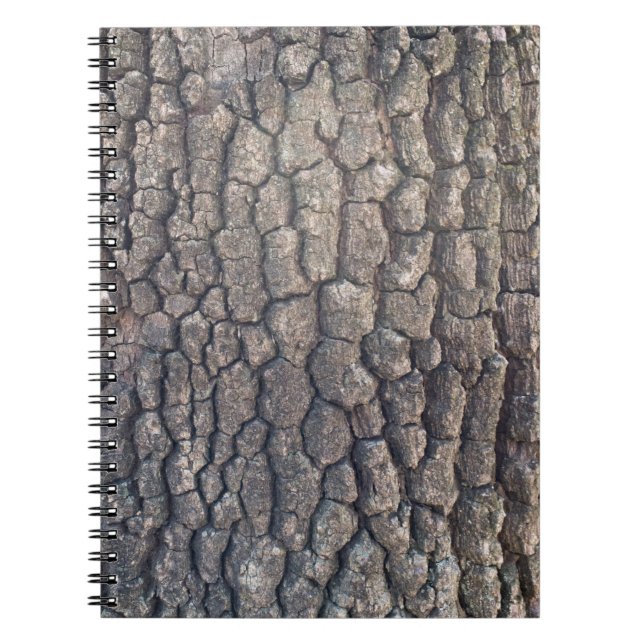 Cuaderno Barca del árbol del avión (Frente)