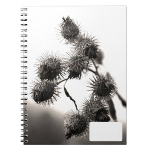 Cuaderno Bardana seca