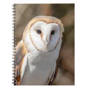 Cuaderno Barn Owl