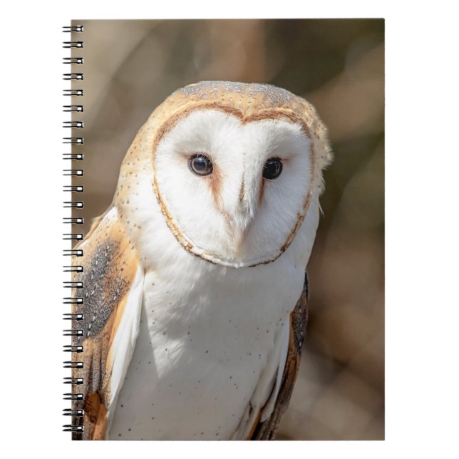 Cuaderno Barn Owl (Frente)