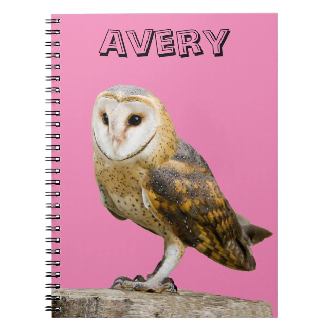 Cuaderno Barn Owl (Frente)