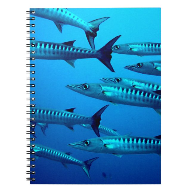 Cuaderno barracuda buceo profundo mar agua tropical ola (Frente)