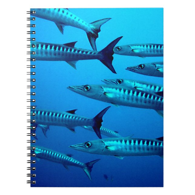 Cuaderno Barracudas (Frente)