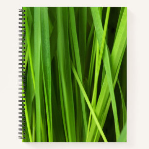 Cuaderno Barras de hierba