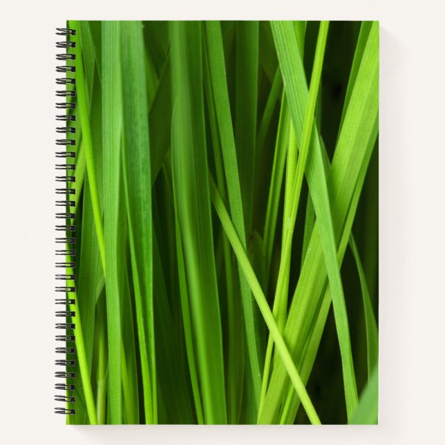 Cuaderno Barras de hierba (Anverso)
