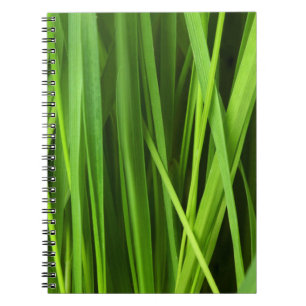Cuaderno Barras de hierba