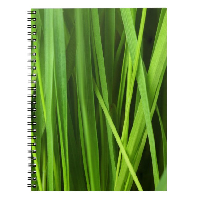 Cuaderno Barras de hierba (Frente)