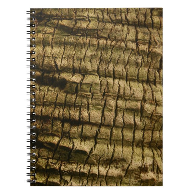 Cuaderno Barrera de árbol de palmas (Frente)