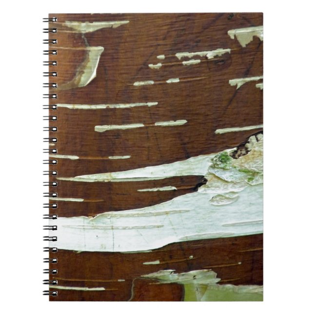 Cuaderno Barrera de árbol natural de Birch-Plata (Frente)