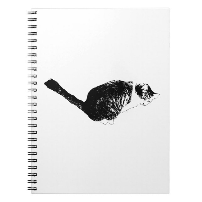 Cuaderno Barrido Limpio, Línea de Pensamiento (Frente)