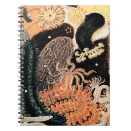 Cuaderno Barrier Reef Anemones