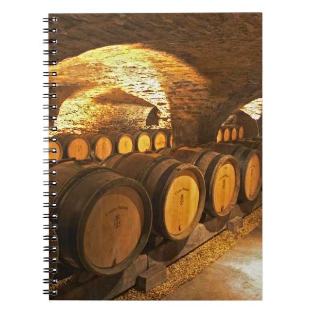 Cuaderno barriles de roble en el sótano en Domaine Comte (Frente)